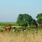 Haus Horizont Semesterbostad Dyksterhusen