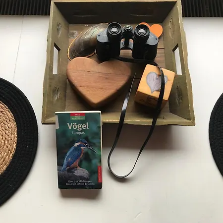 Haus Horizont Dyksterhusen