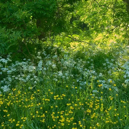 Haus Horizont Casa de Férias *