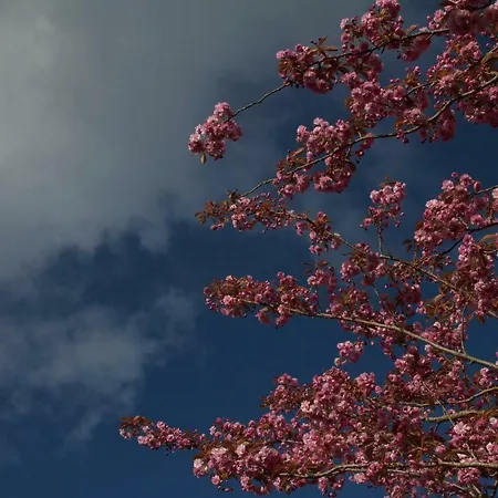 Haus Horizont * Dyksterhusen