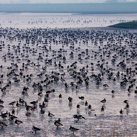 Casa de Férias Haus Horizont