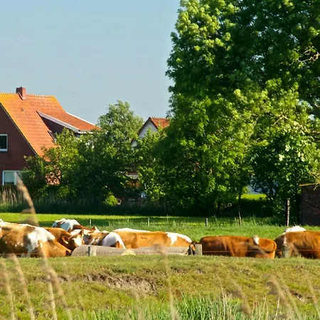 Haus Horizont Dyksterhusen